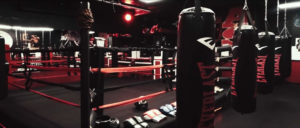 Adult Boxing Class